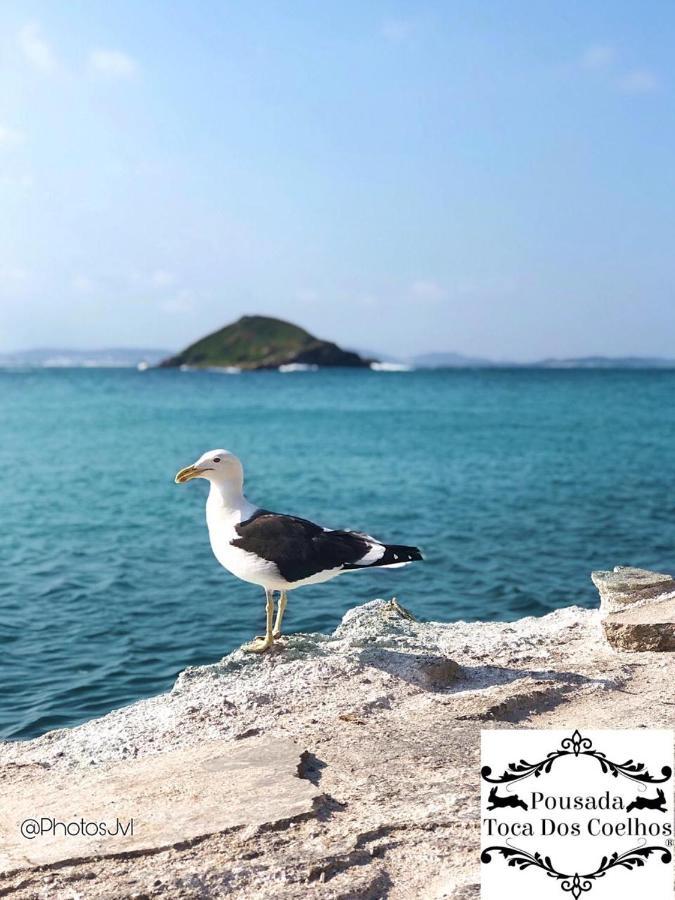 Pousada Toca Dos Coelhos Arraial do Cabo Eksteriør bilde